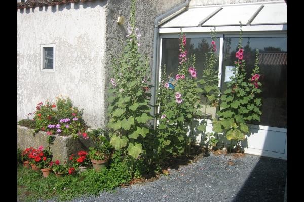L'entrée du gîte : Le Logis des Granges près de Surgères en Charente maritime