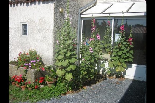 L'entrée du gîte : Le Logis des Granges près de Surgères en Charente maritime