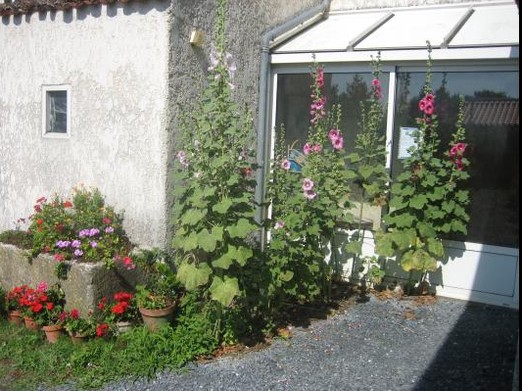 The entrance to the gîte: Le Logis des Granges near Surgères in Charente maritime