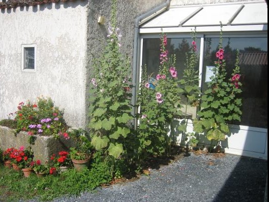 The entrance to the gîte: Le Logis des Granges near Surgères in Charente maritime