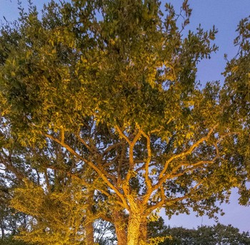 L'entrée du domaine de Linguinou