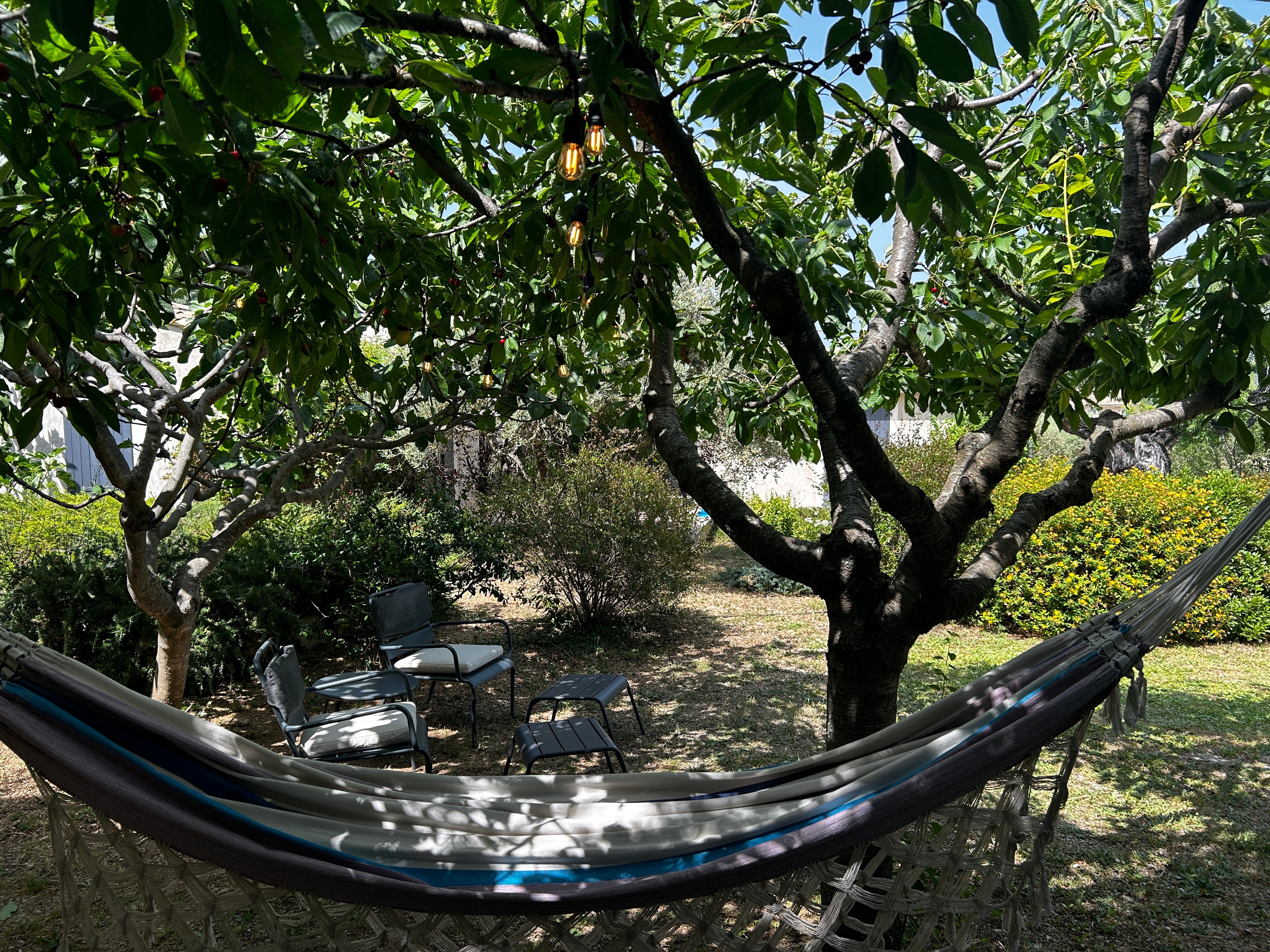 Sieste sous la fraicheur des arbres fruitiers
