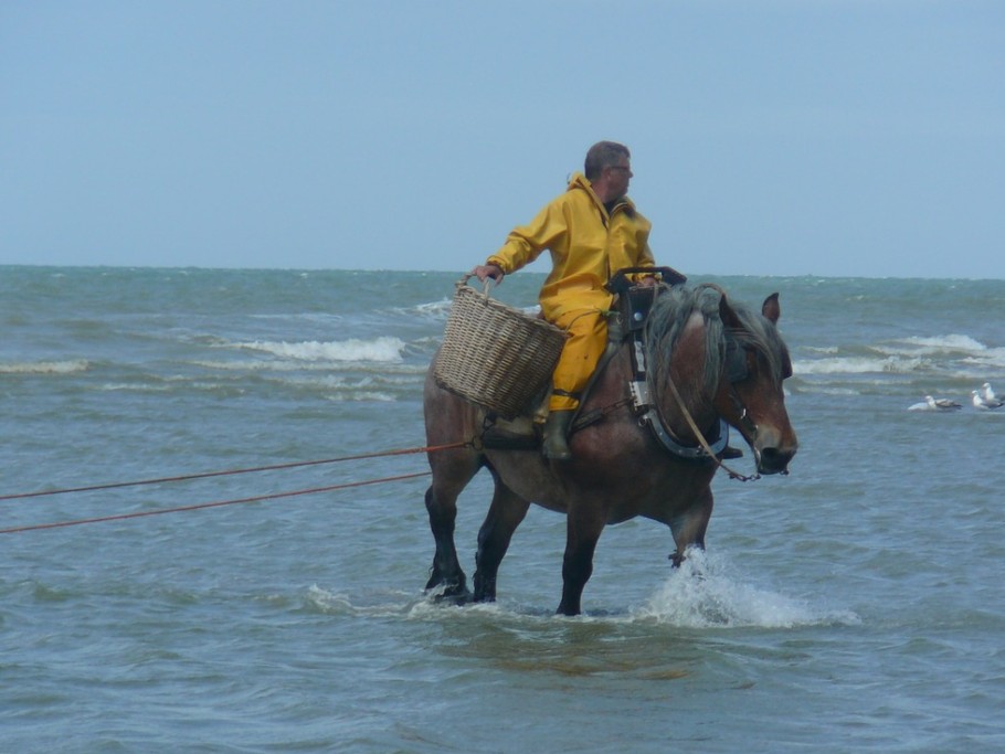pêche de la crevette à l'ancienne