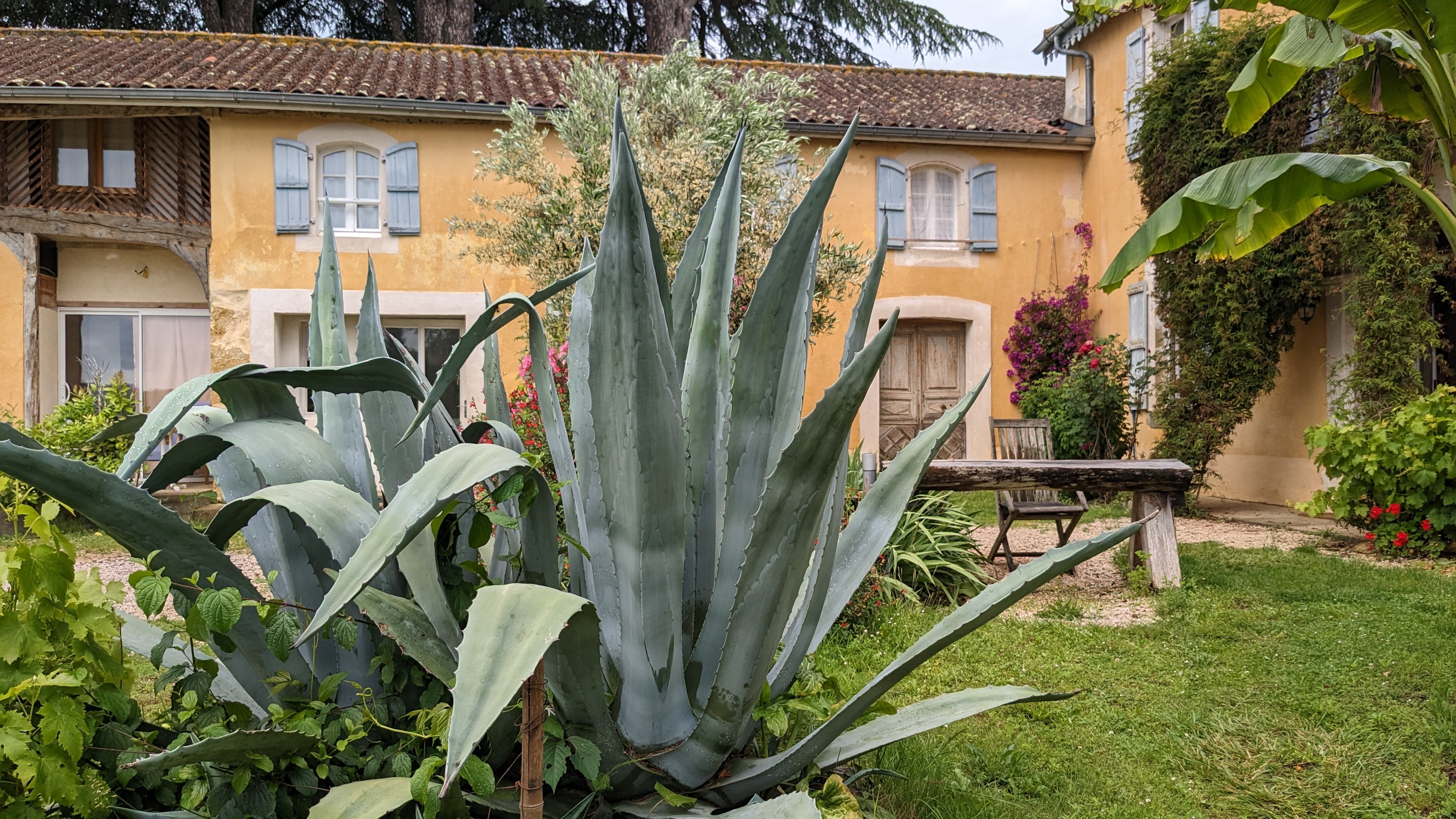 Photo n° 12 of the location