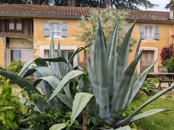 Photo n° 12 of the location