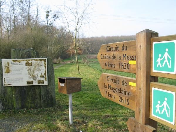 Nombreux chemins de randonnée, balisés