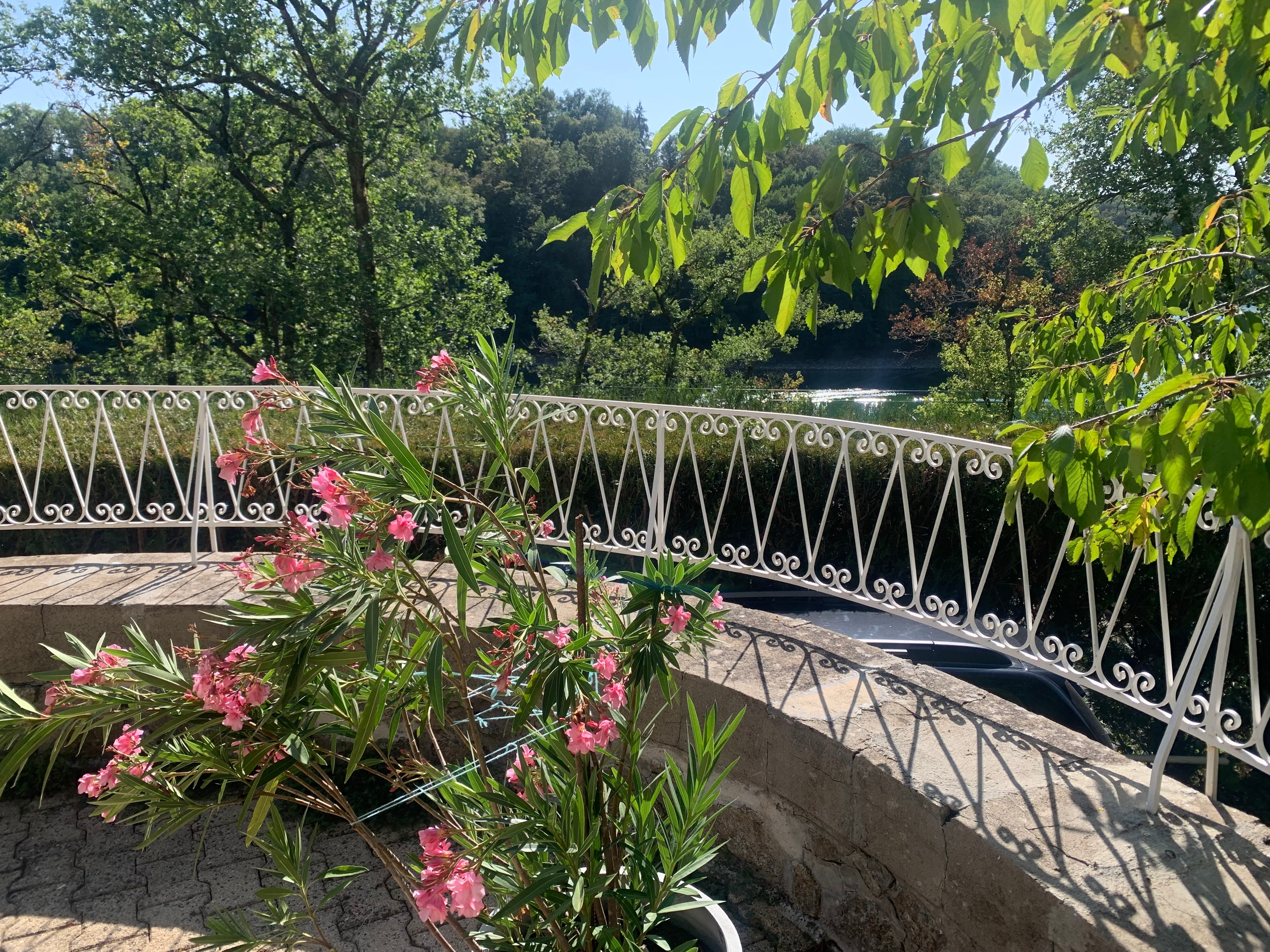 Photo n° 19 de la location