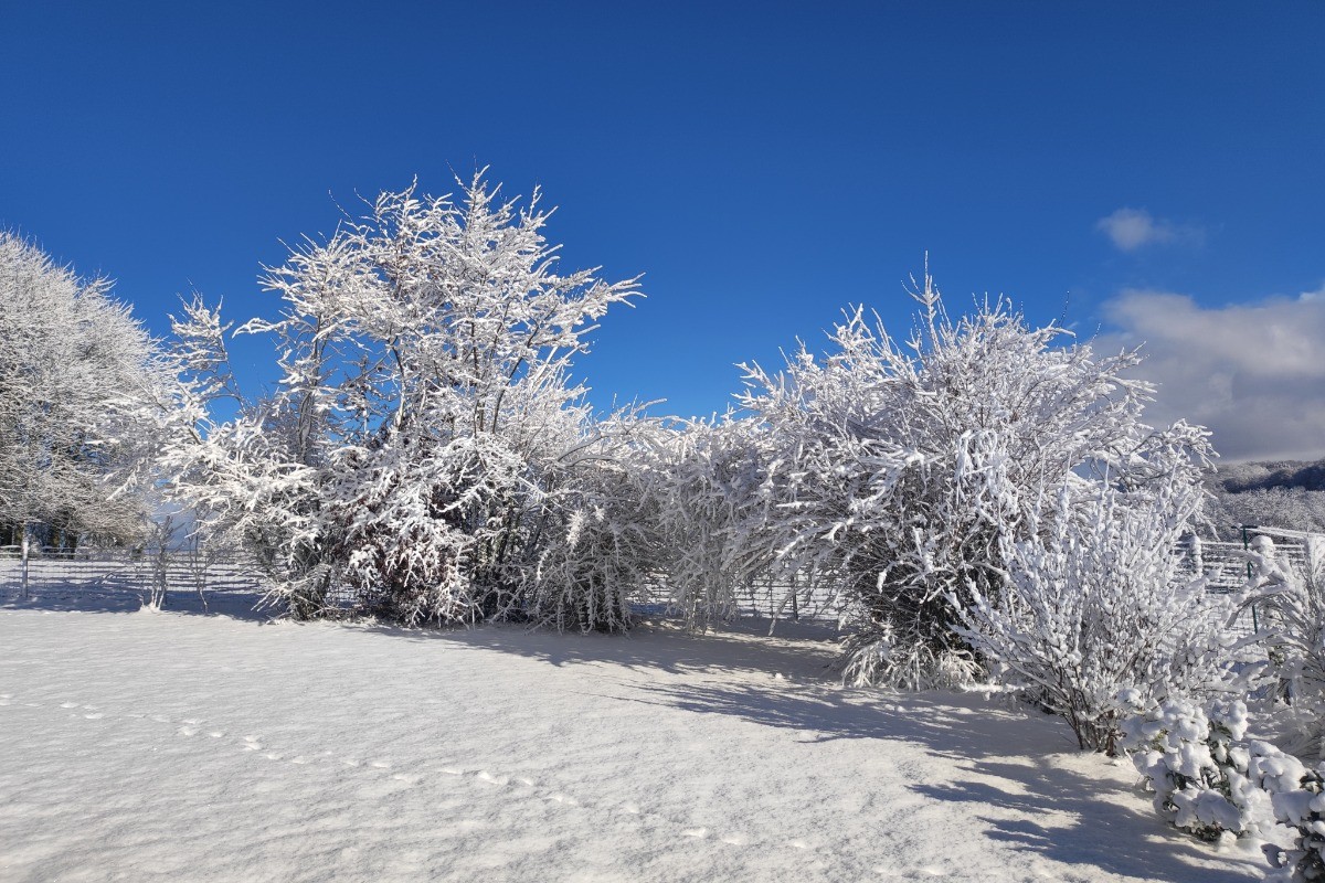 Photo n° 18 of the location