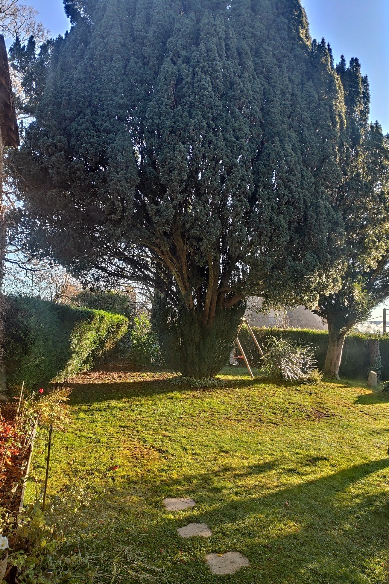 Photo n° 5 de la location