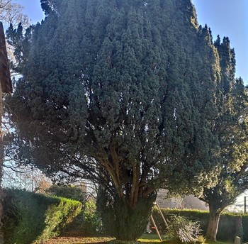 Photo n° 5 of the location