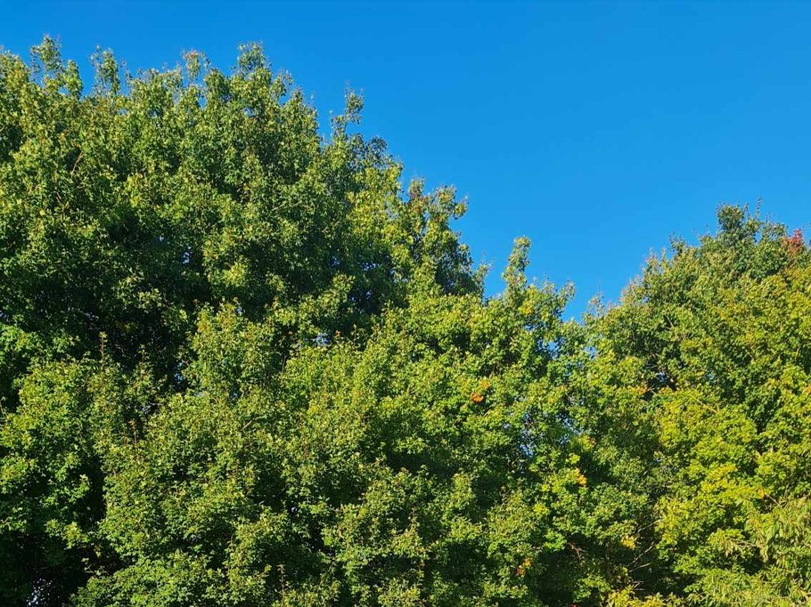 Photo n° 15 of the location