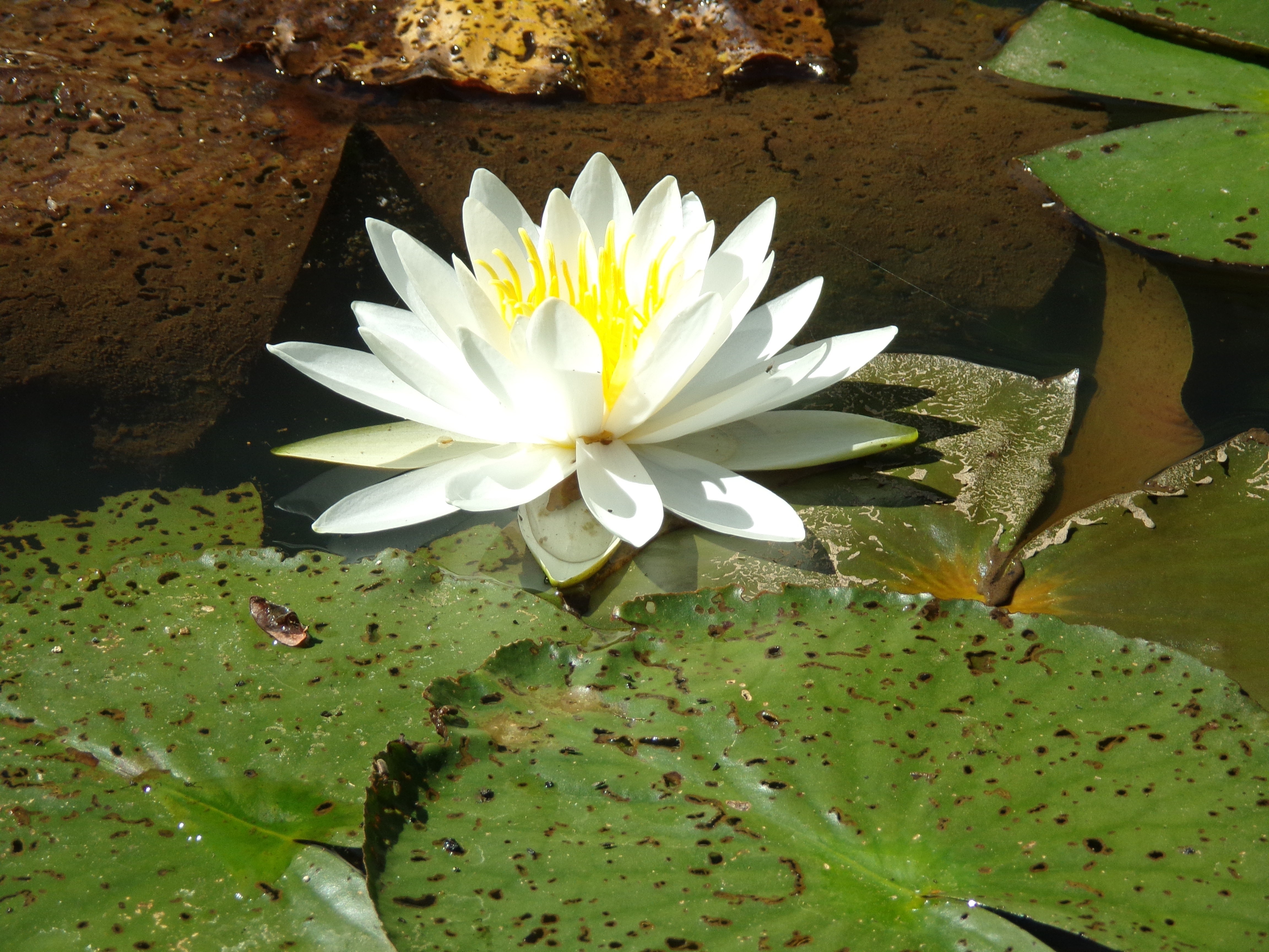 Photo n° 15 de la location