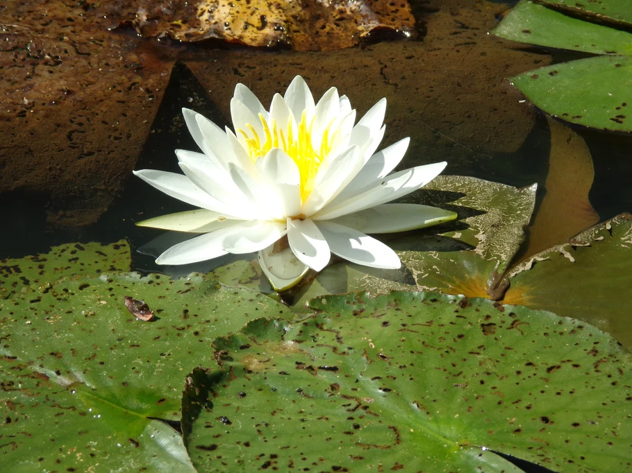 Photo n° 15 de la location