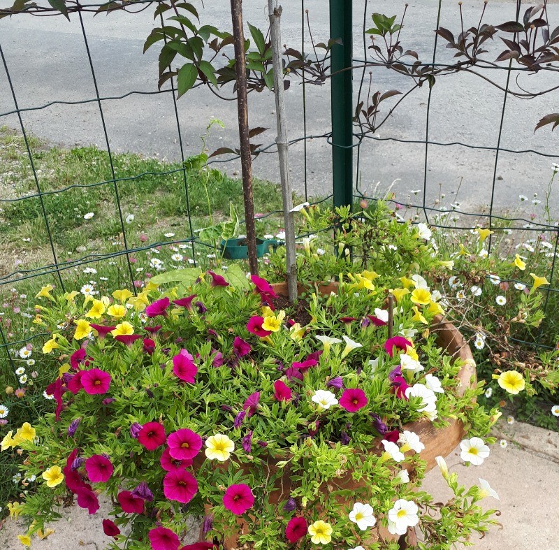 Photo n° 12 de la location