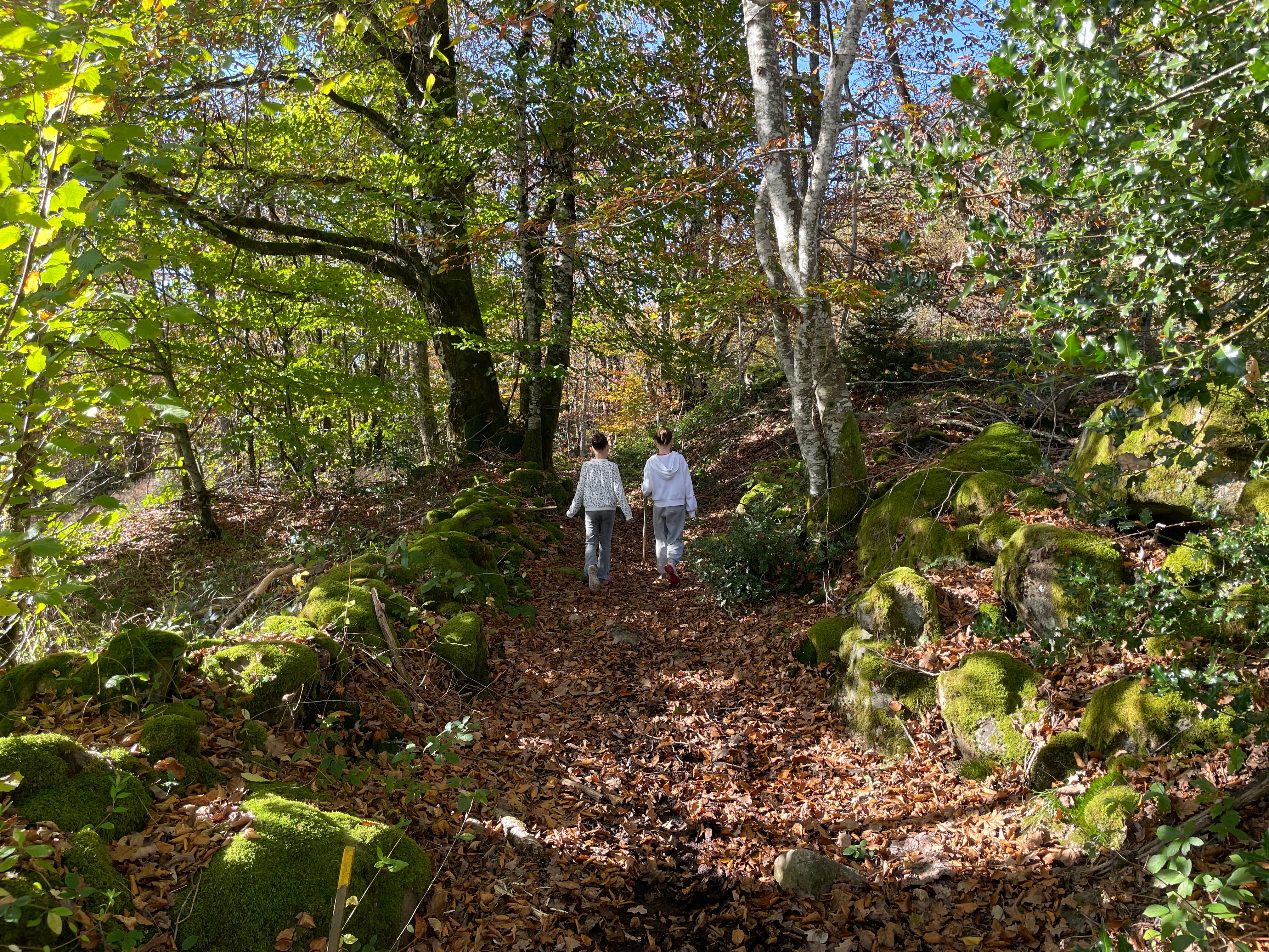 Photo n° 18 de la location