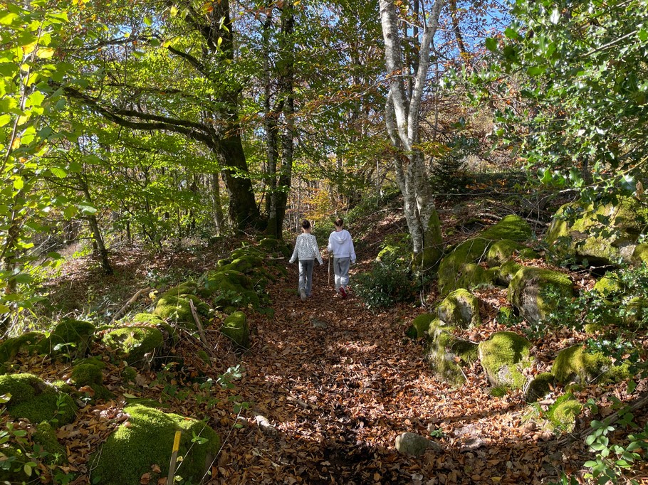 Photo n° 18 de la location