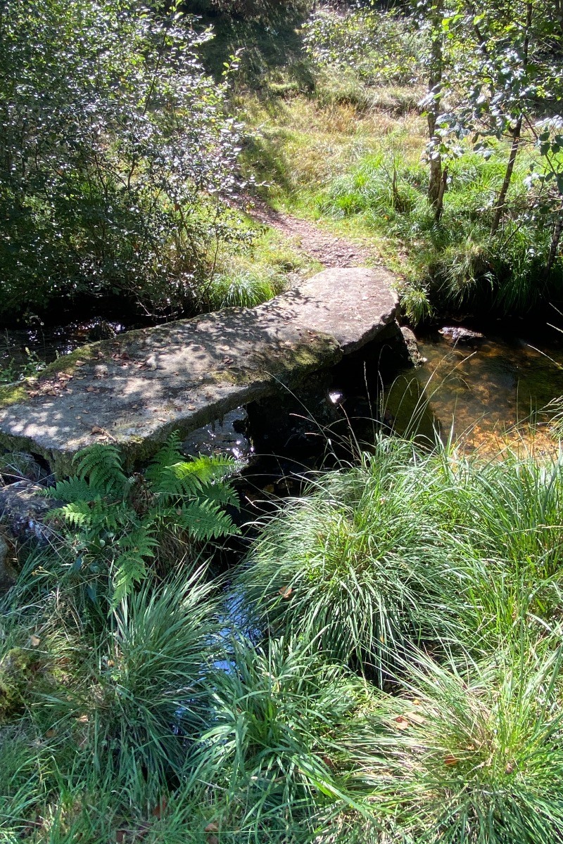 PONT AU MILIEU DES TOURBIERES / ROYERE DE VASSIVIERE