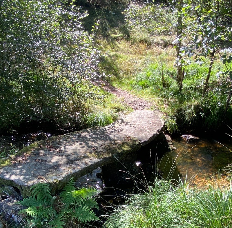 PONT AU MILIEU DES TOURBIERES / ROYERE DE VASSIVIERE