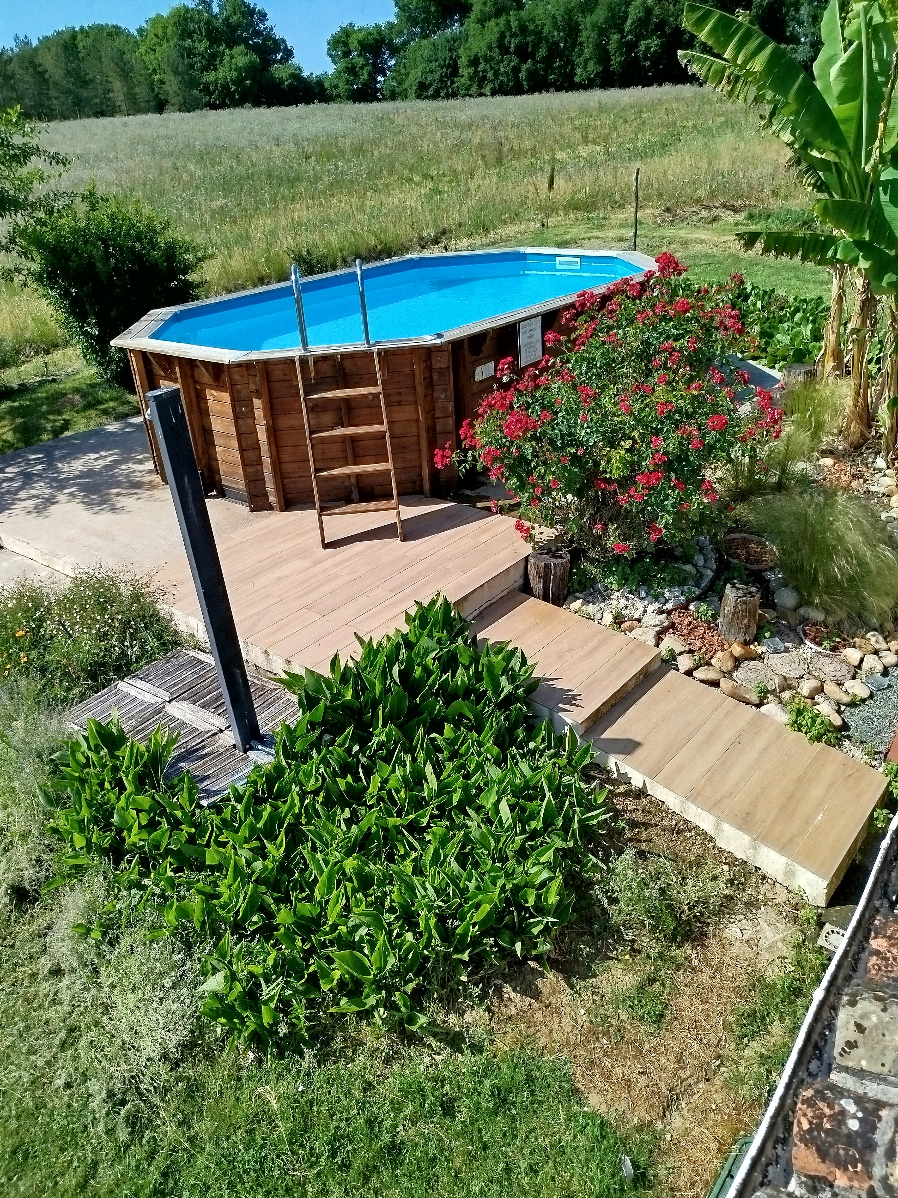 Profitez d'un bain cet été
