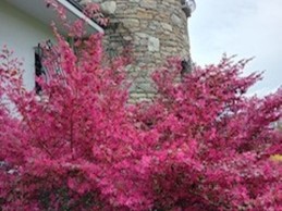 Image n° 3 de la location