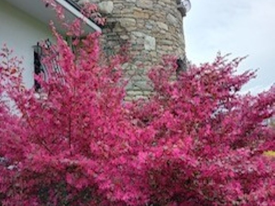 Photo n° 3 de la location