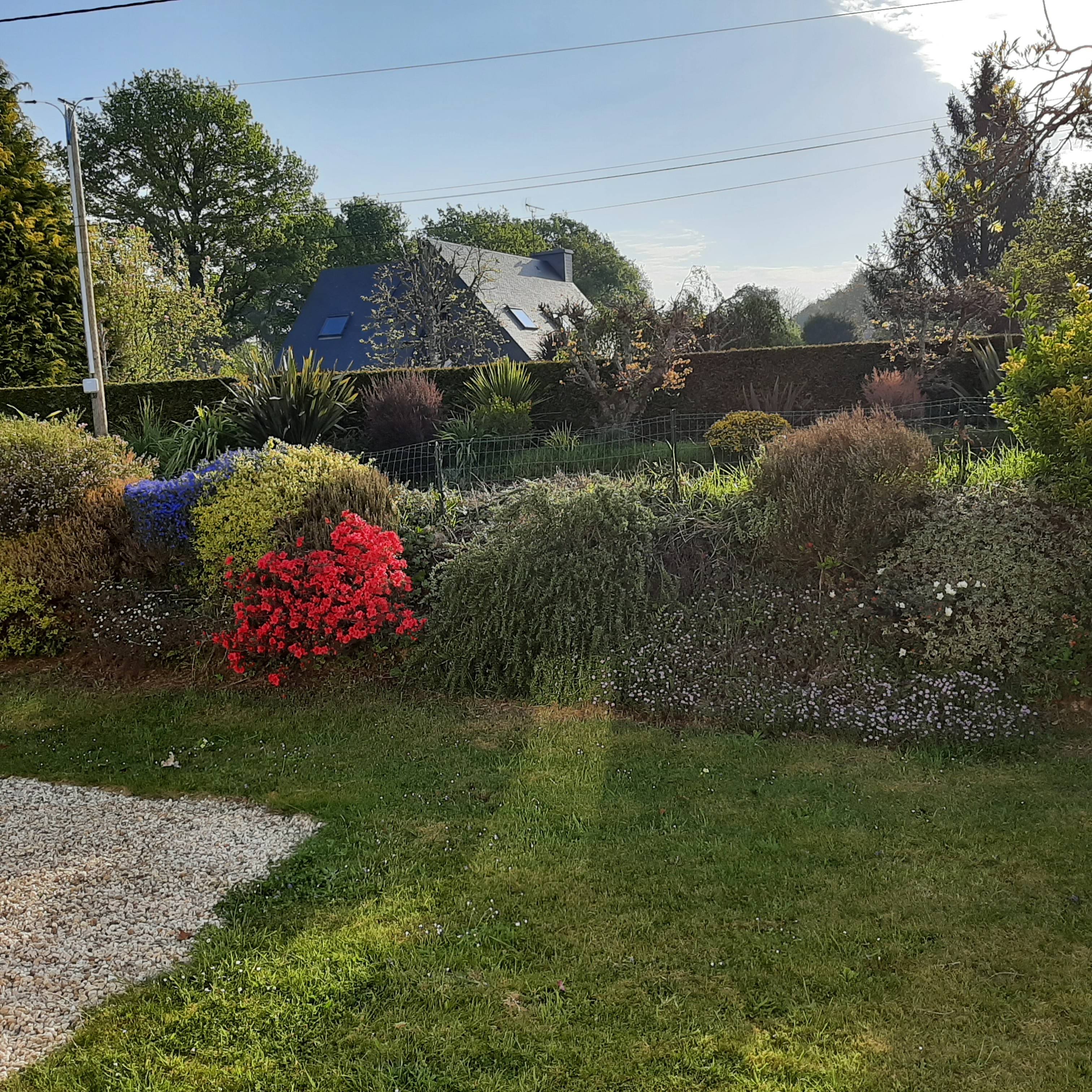 Talus breton arboré longeant la façade de maison