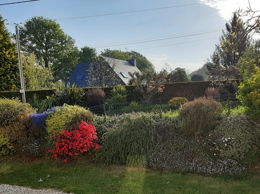 Talus breton arboré longeant la façade de maison