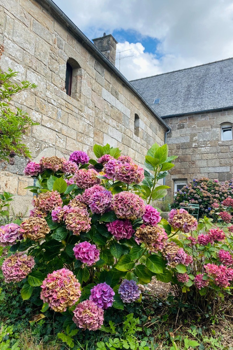 Exterieur 2