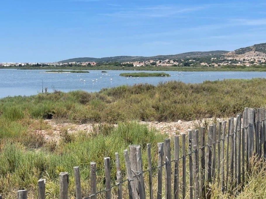 Photo n° 12 de la location