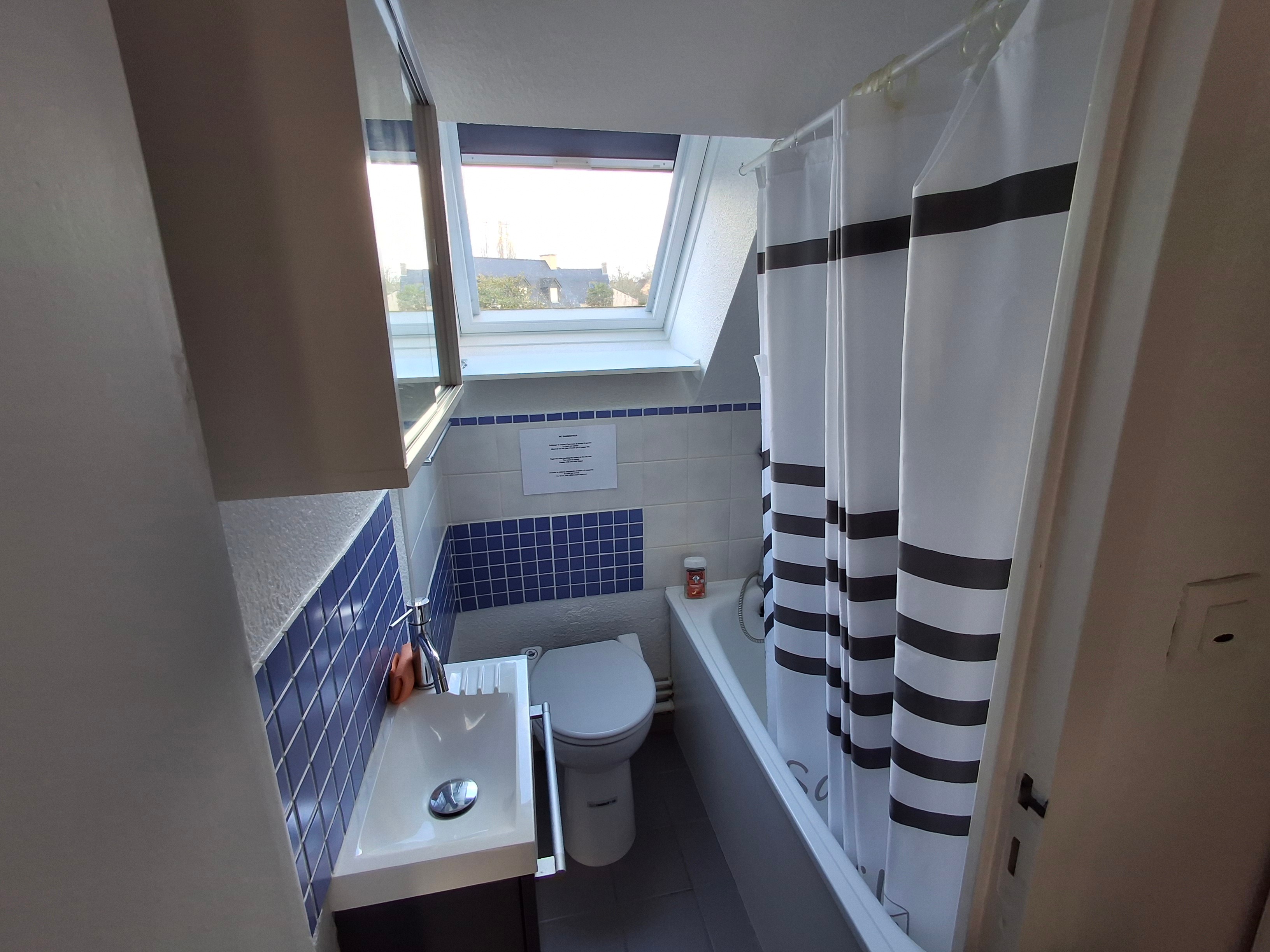 bathroom (upstairs)