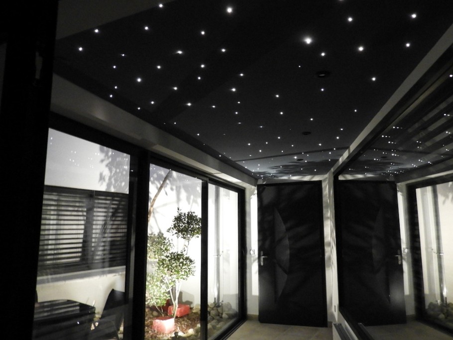 jardin d'hiver et ciel étoilé