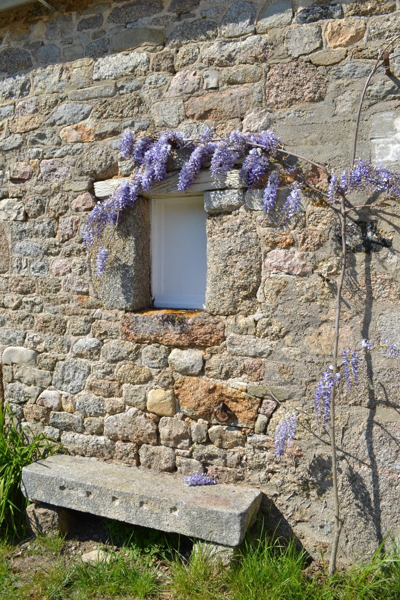 Photo n° 15 de la location