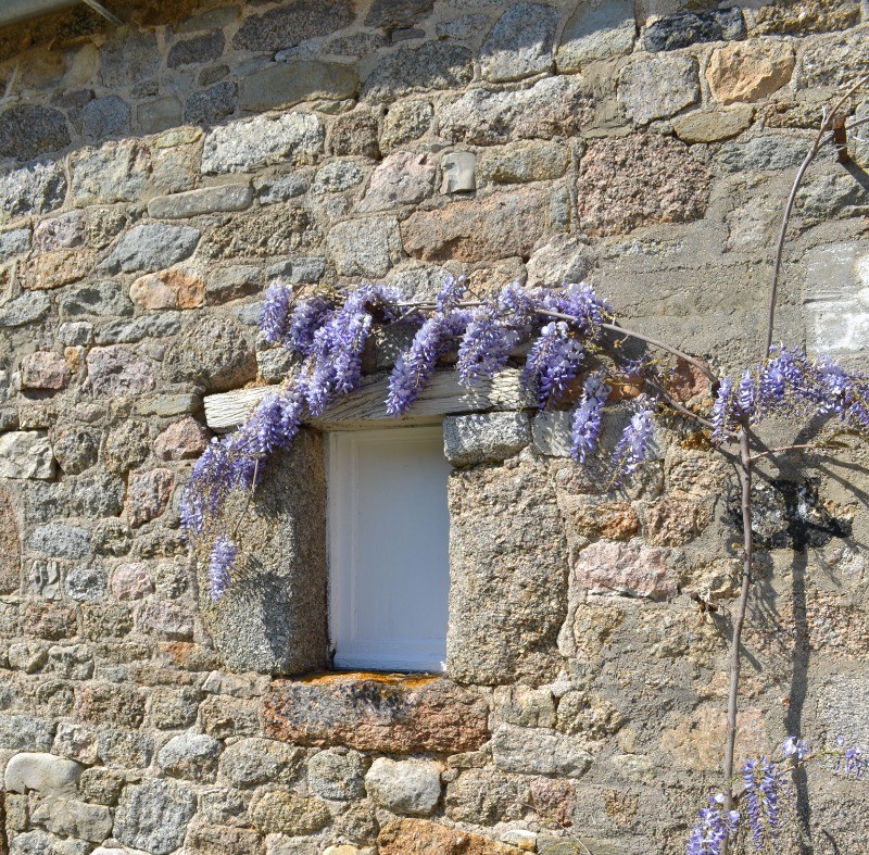 Photo n° 15 of the location