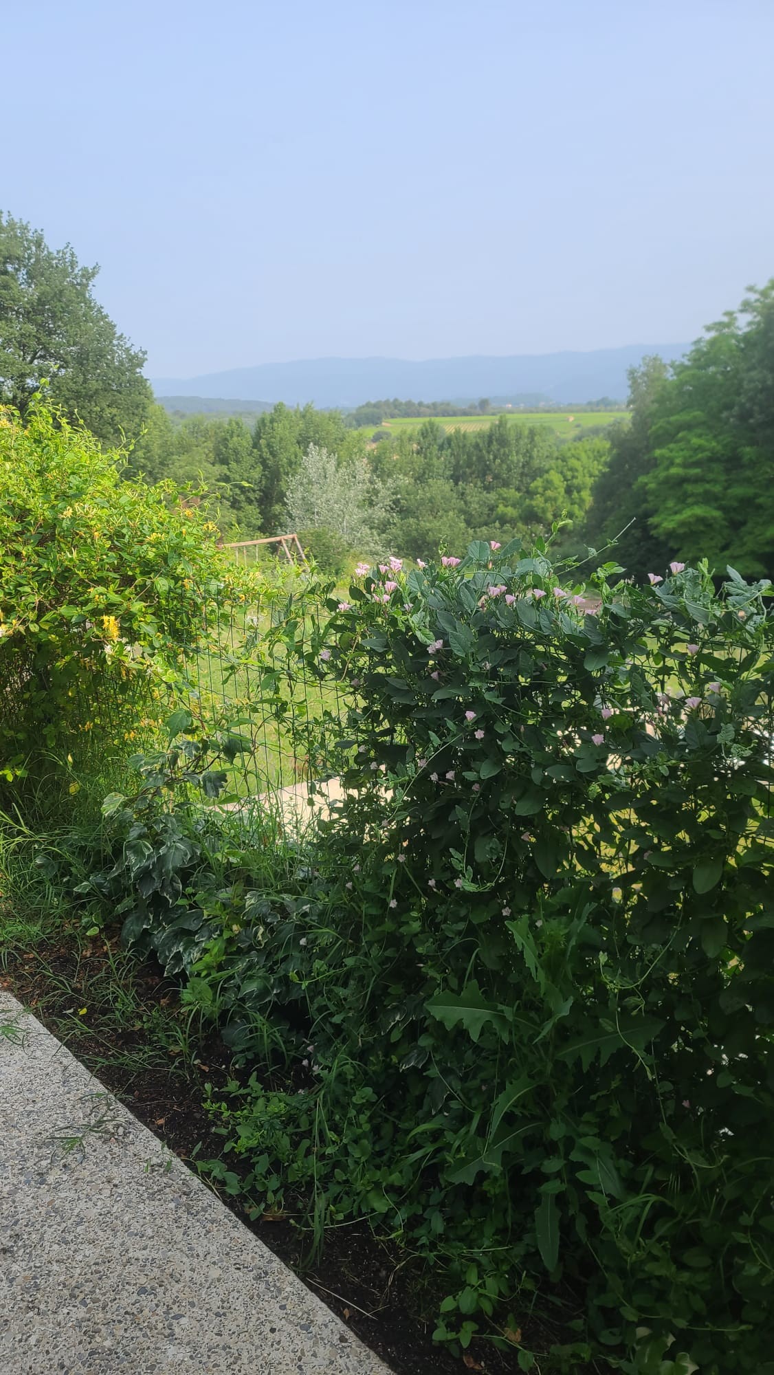 Photo n° 19 of the location