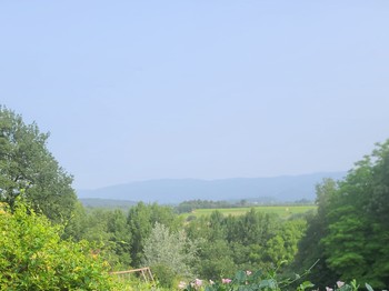 Photo n° 19 de la location