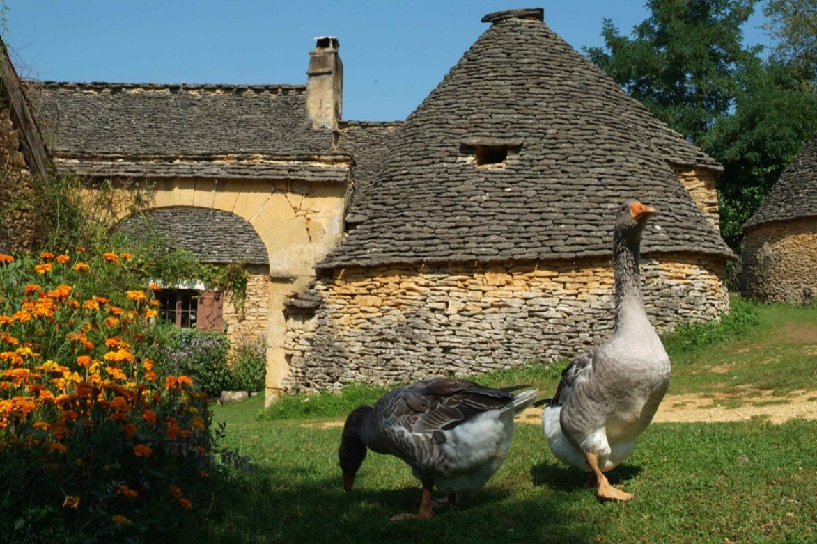 Photo n° 10 de la location