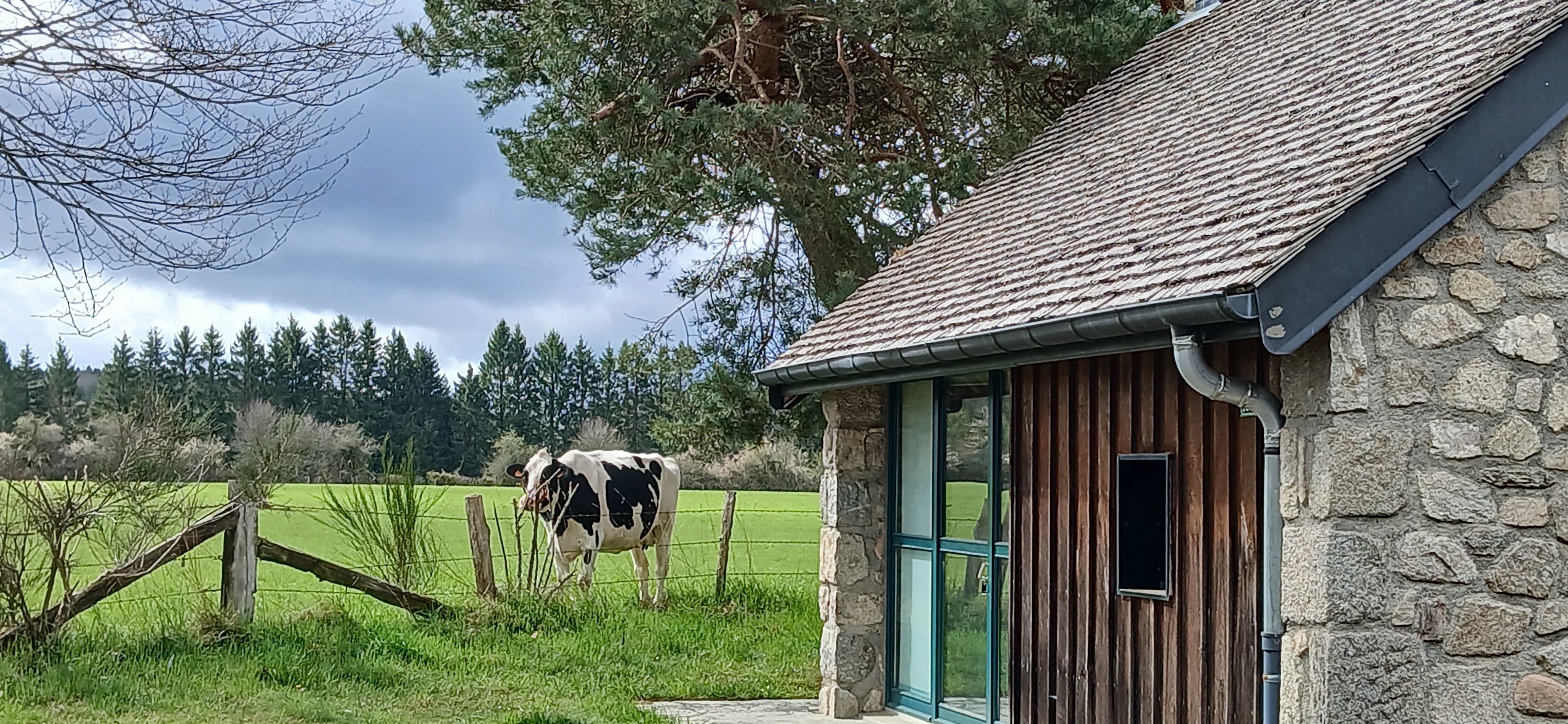 Etang de Farges, Saint Germain près Herment, Chalet vert - Extérieur
