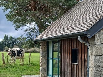 Etang de Farges, Saint Germain près Herment, Chalet vert - Extérieur