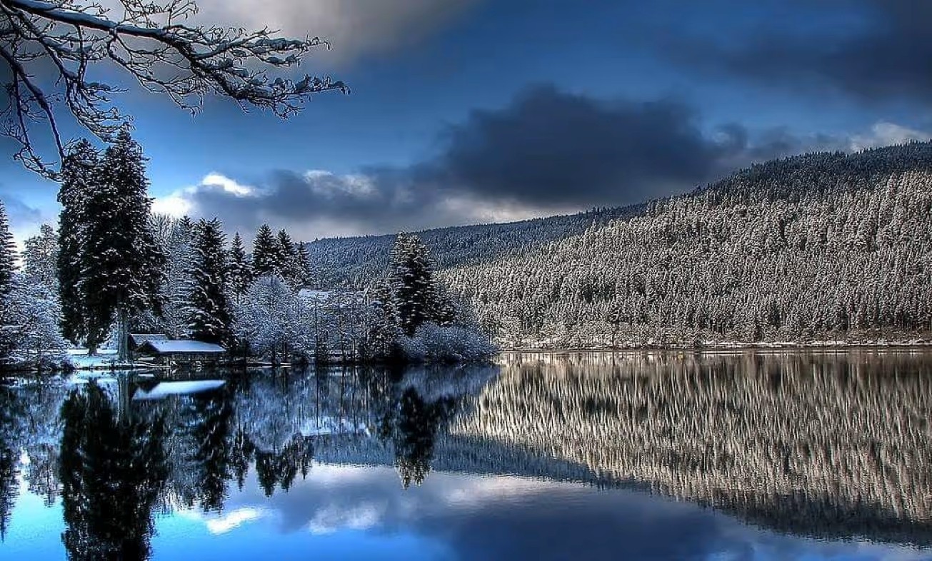 Lac de Gérardmer, à seulement 300m - Gîte Chez Malou