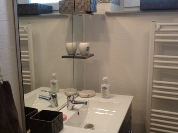 Salle d'eau - Gite du Mourot Le Syndicat Vosges