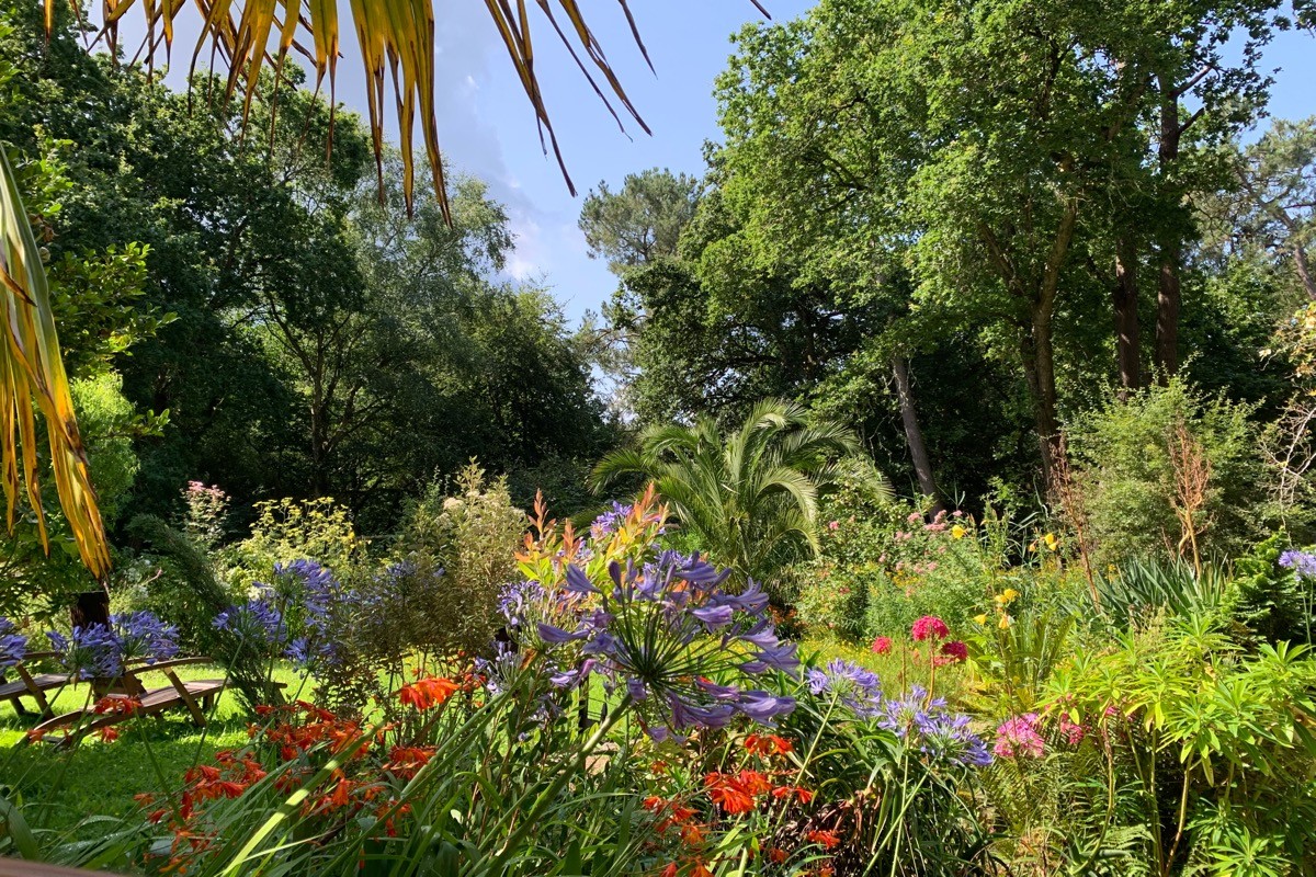 «Le coin perdu", la nature bretonne !
