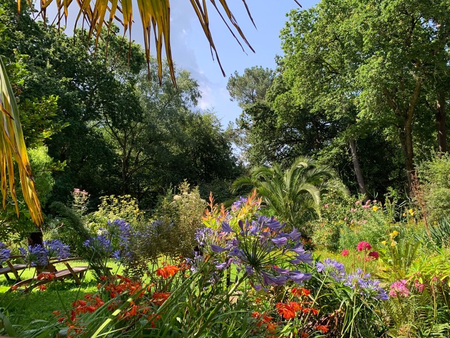 «Le coin perdu", la nature bretonne !