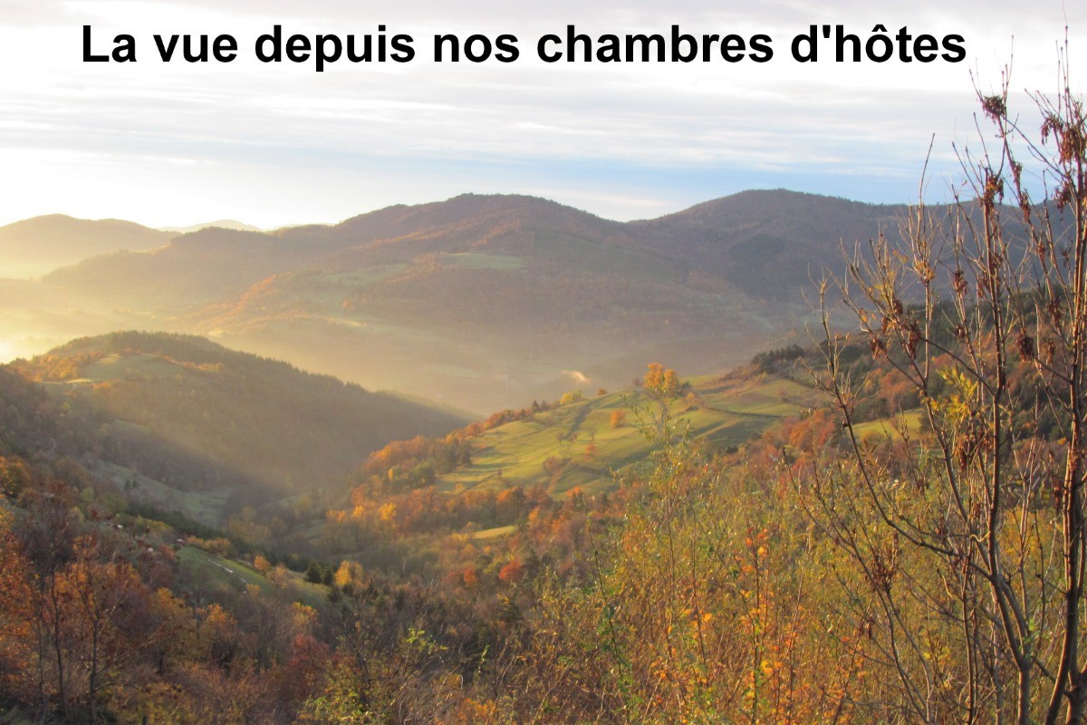 Photo n° 3 of the location