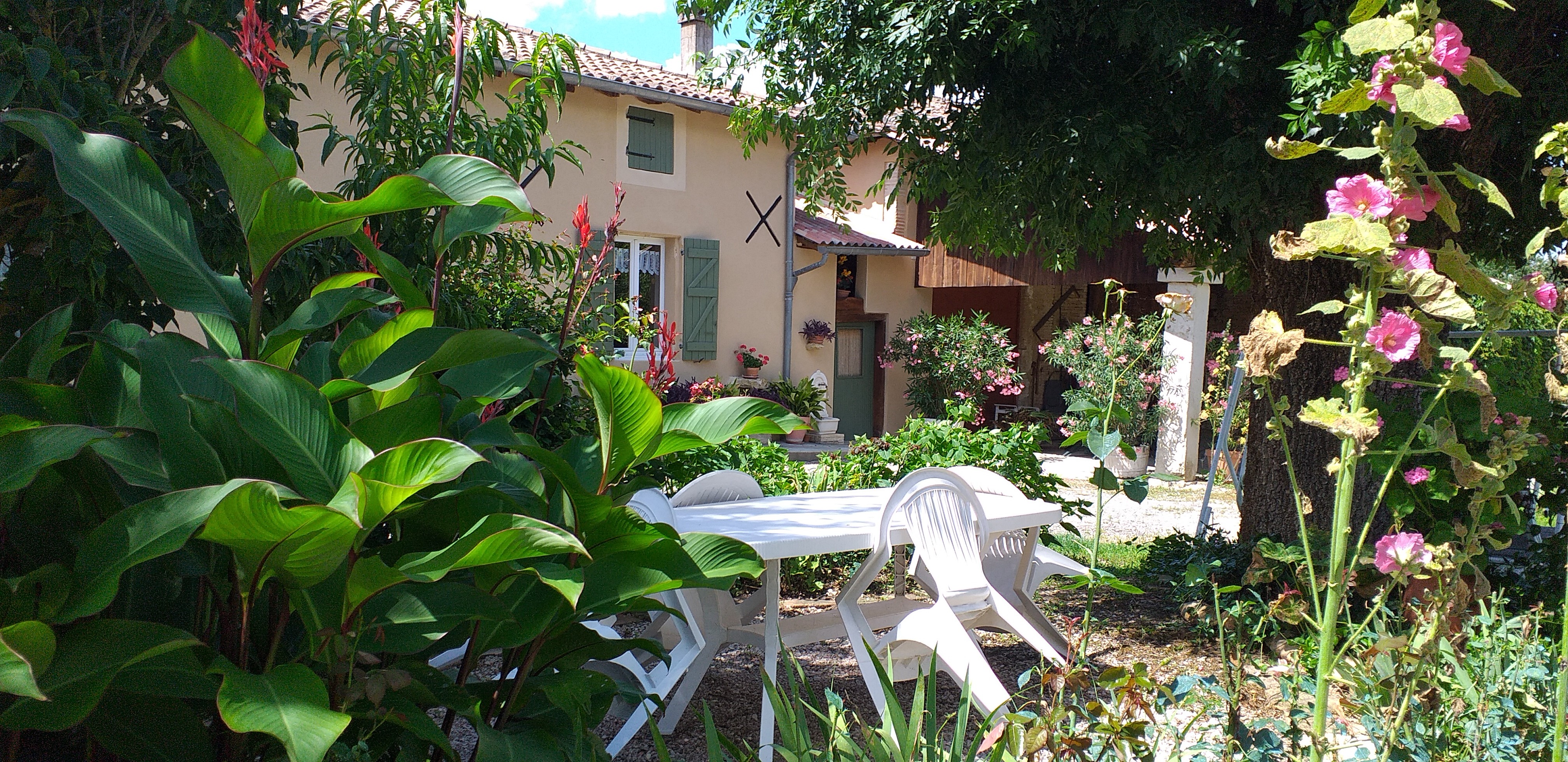 Coin repas dans le jardinet