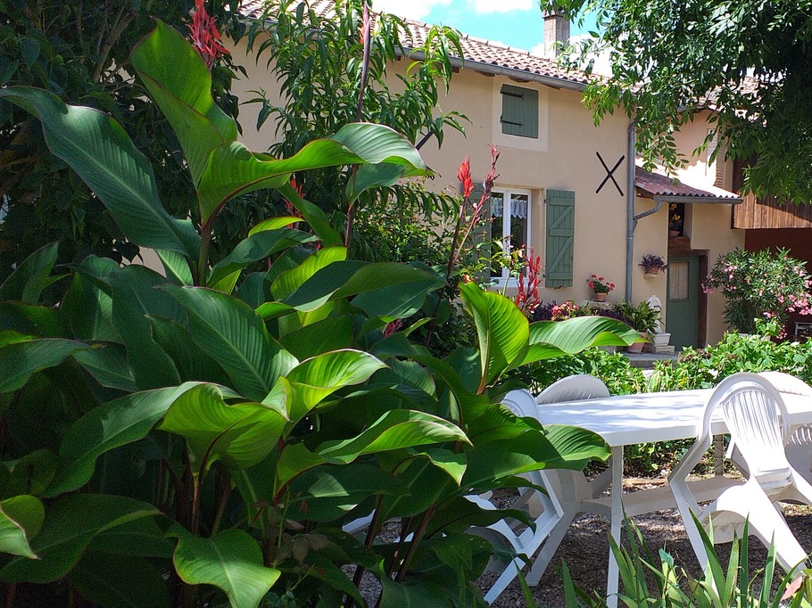 Coin repas dans le jardinet