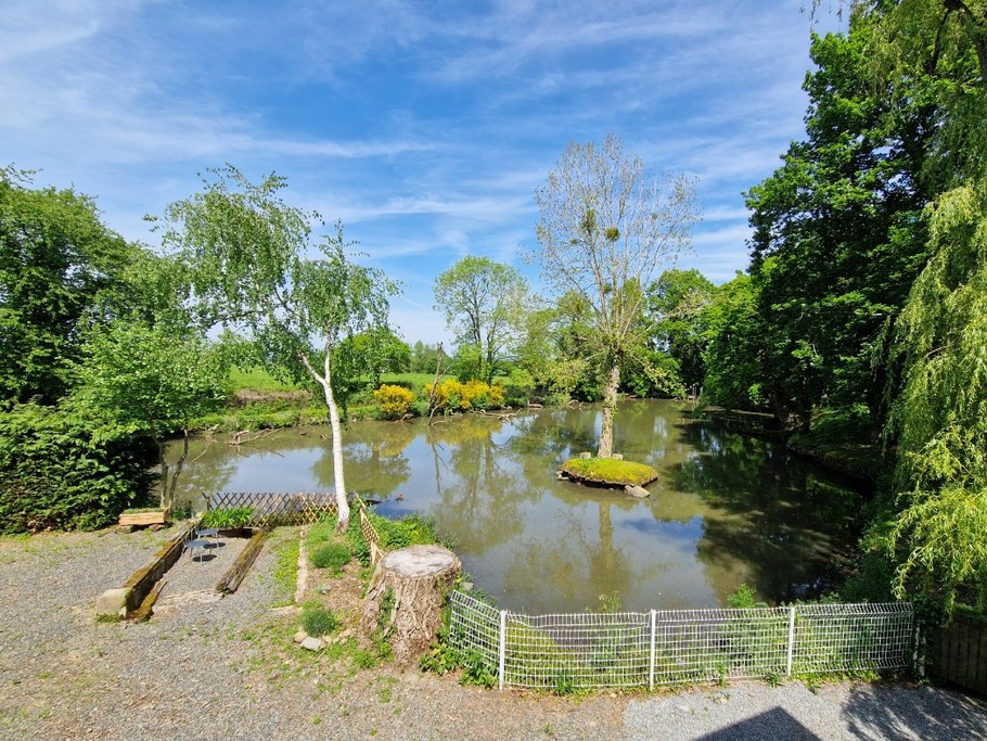 Vue sur l'étang depuis les extérieurs privatifs au gîte. Les abords de l'étang sont sécurisés. Une pêche douce pour les enfants est proposée avec fourniture du matériel de pêche.