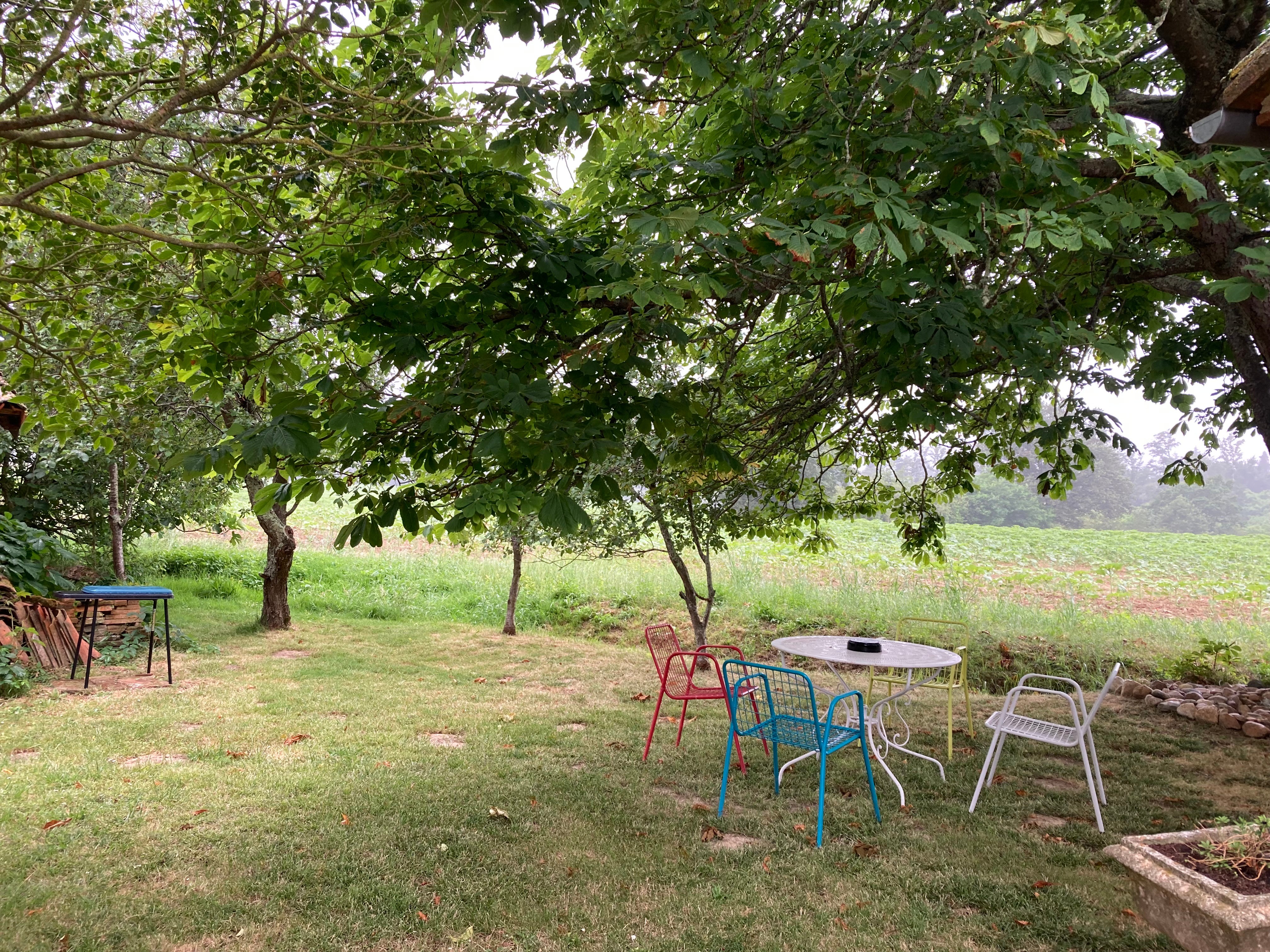 Garden with barbecue