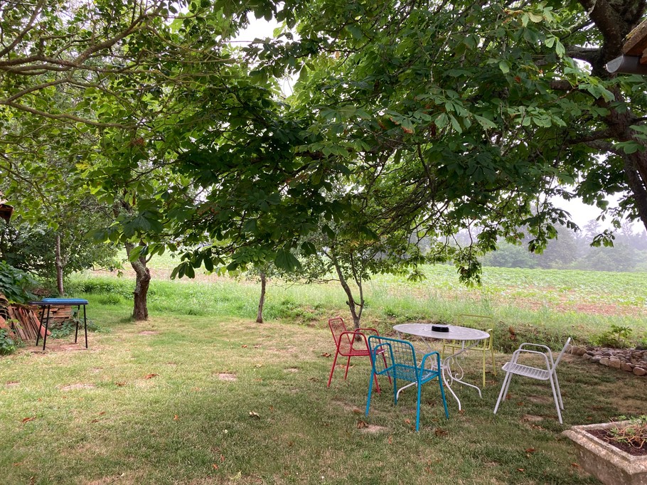 Garden with barbecue