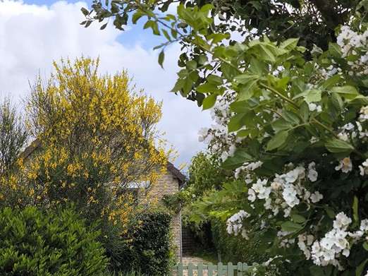 Image n° 1 de la location