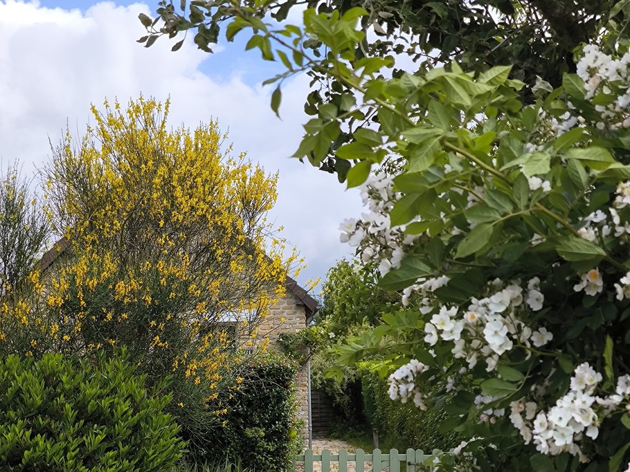 Photo n° 1 de la location